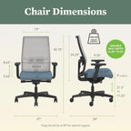 Ignition 2.0 Ergonomic Office Chair