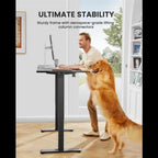 ErGear Electric Standing Desk