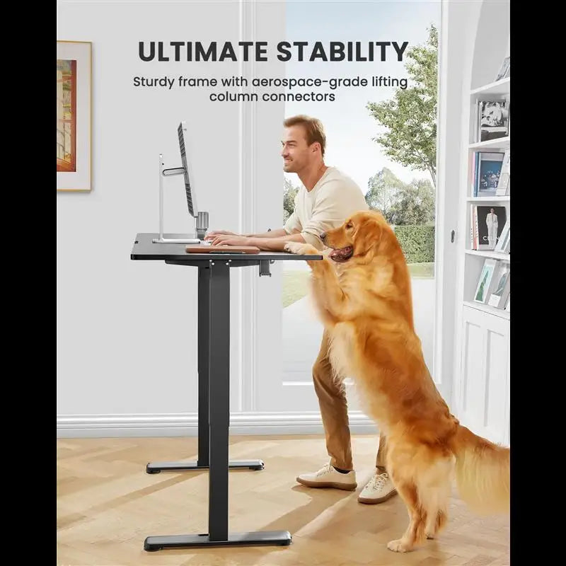 ErGear Electric Standing Desk