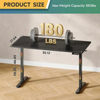 Electric Standing Desk 55x28