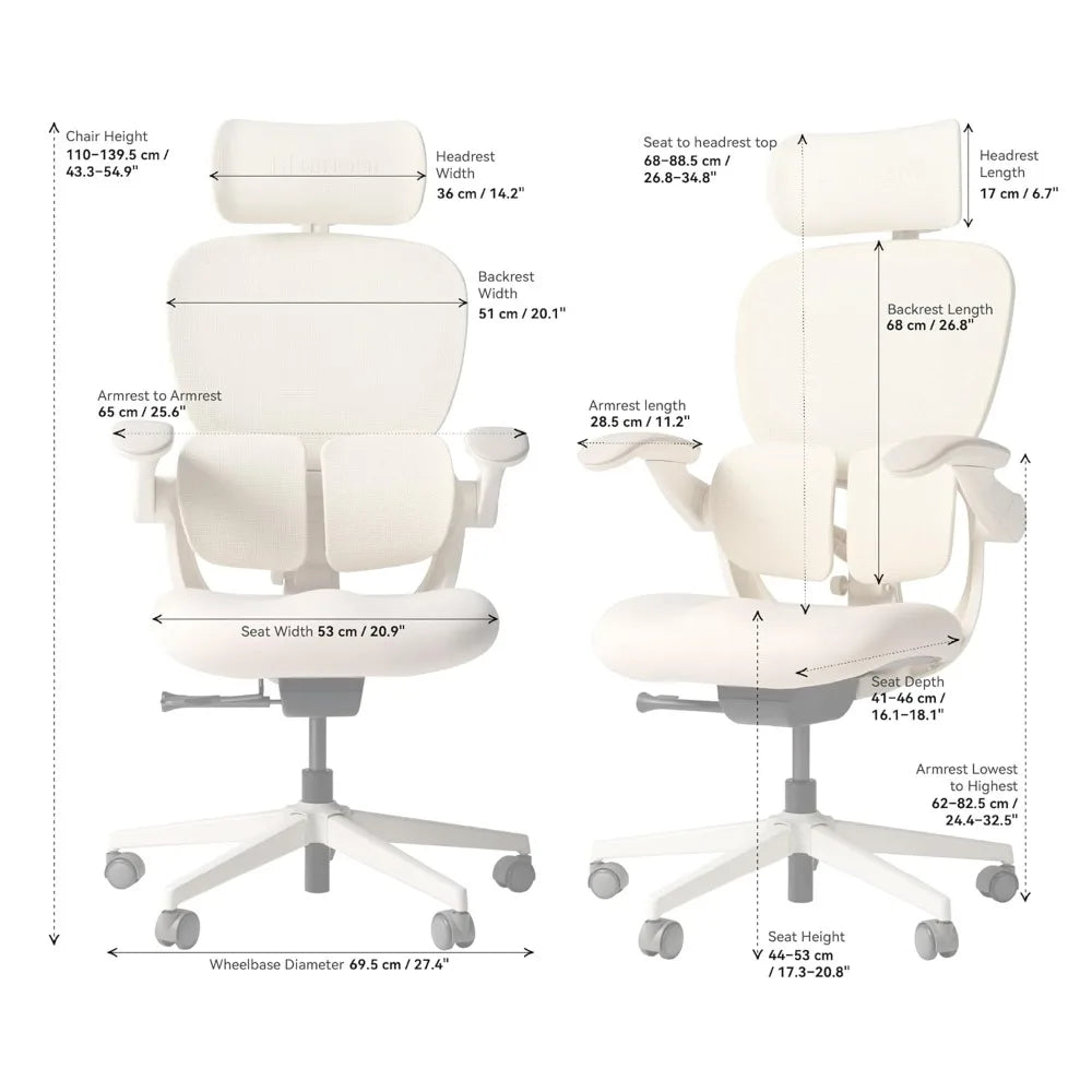 Q2 Ergonomic Office Chair with Lumbar Support