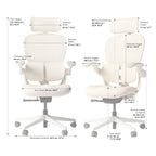 Q2 Ergonomic Office Chair with Lumbar Support