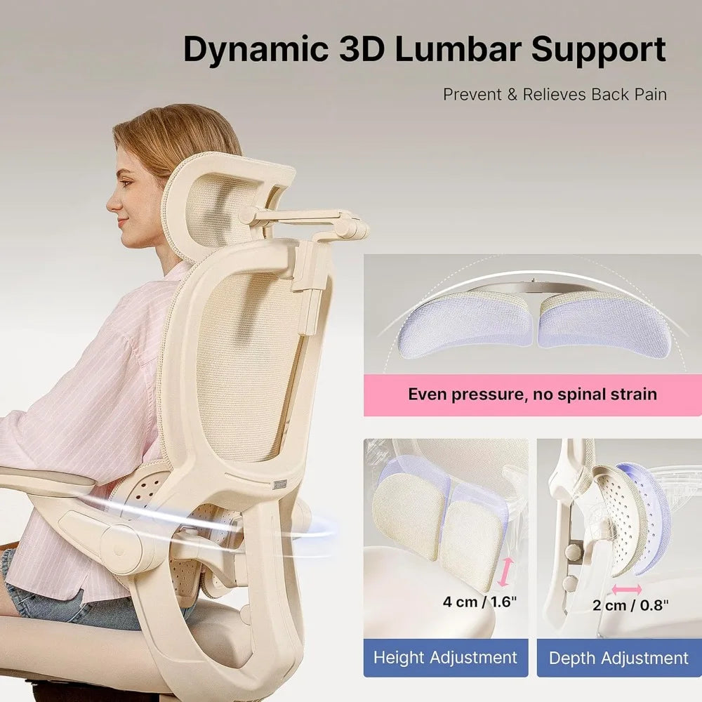 Q2 Ergonomic Office Chair with Lumbar Support