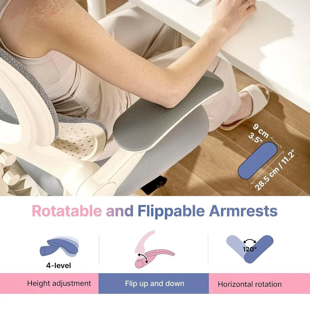 Q2 Ergonomic Office Chair with Lumbar Support