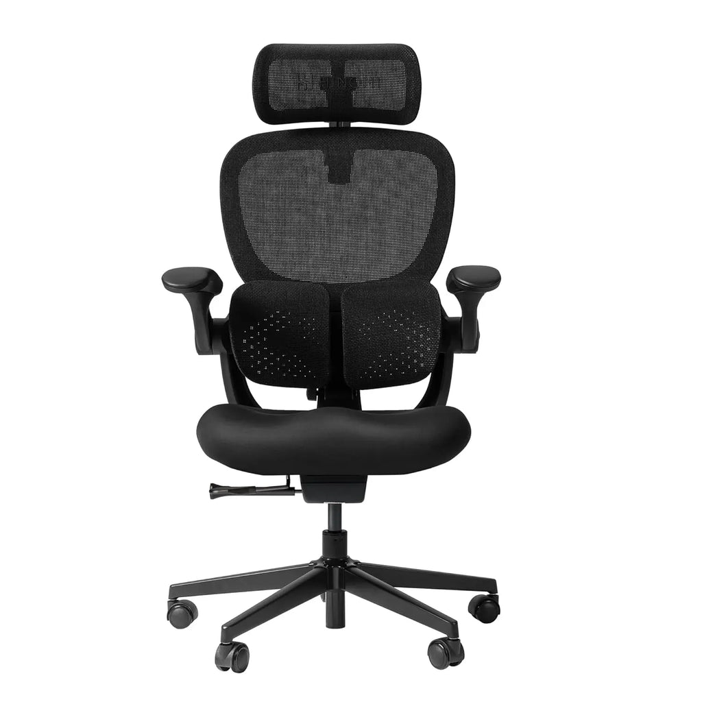 Q2 Ergonomic Office Chair with Lumbar Support