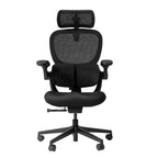Q2 Ergonomic Office Chair with Lumbar Support