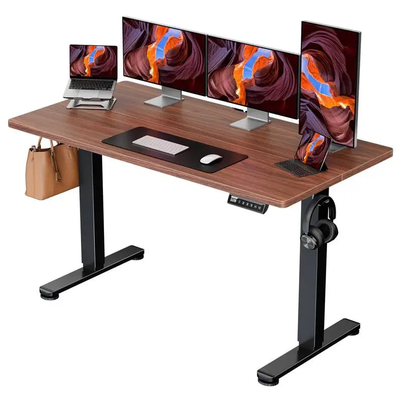 ErGear Electric Standing Desk