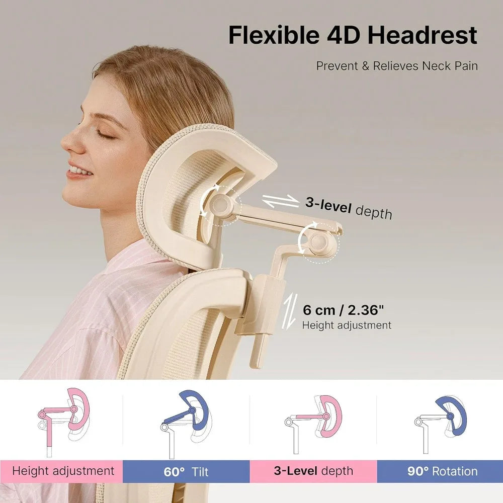 Q2 Ergonomic Office Chair with Lumbar Support