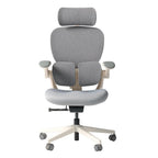 Q2 Ergonomic Office Chair with Lumbar Support
