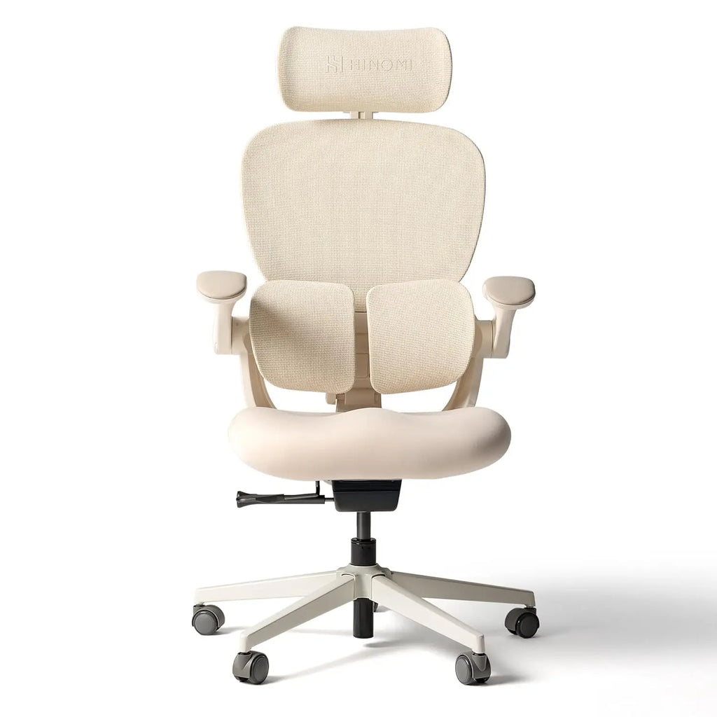 Q2 Ergonomic Office Chair with Lumbar Support