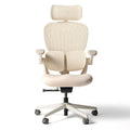 Q2 Ergonomic Office Chair with Lumbar Support