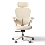 Q2 Ergonomic Office Chair with Lumbar Support