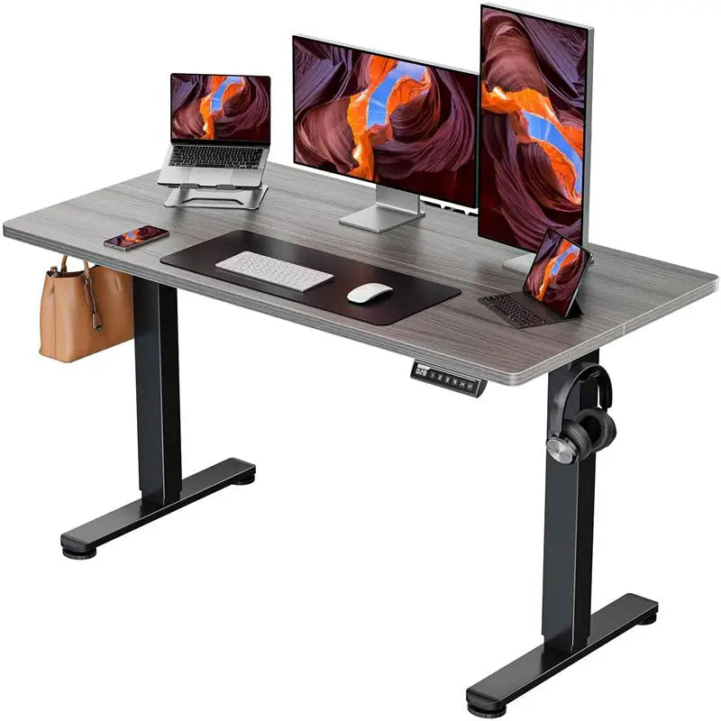 ErGear Electric Standing Desk